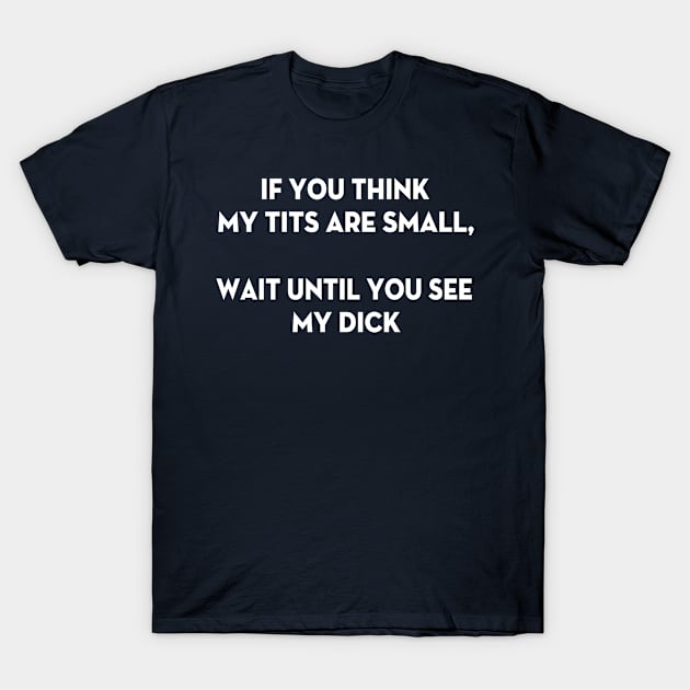 If you think my tits are small wait until you see my dick T-Shirt by smallcatvn